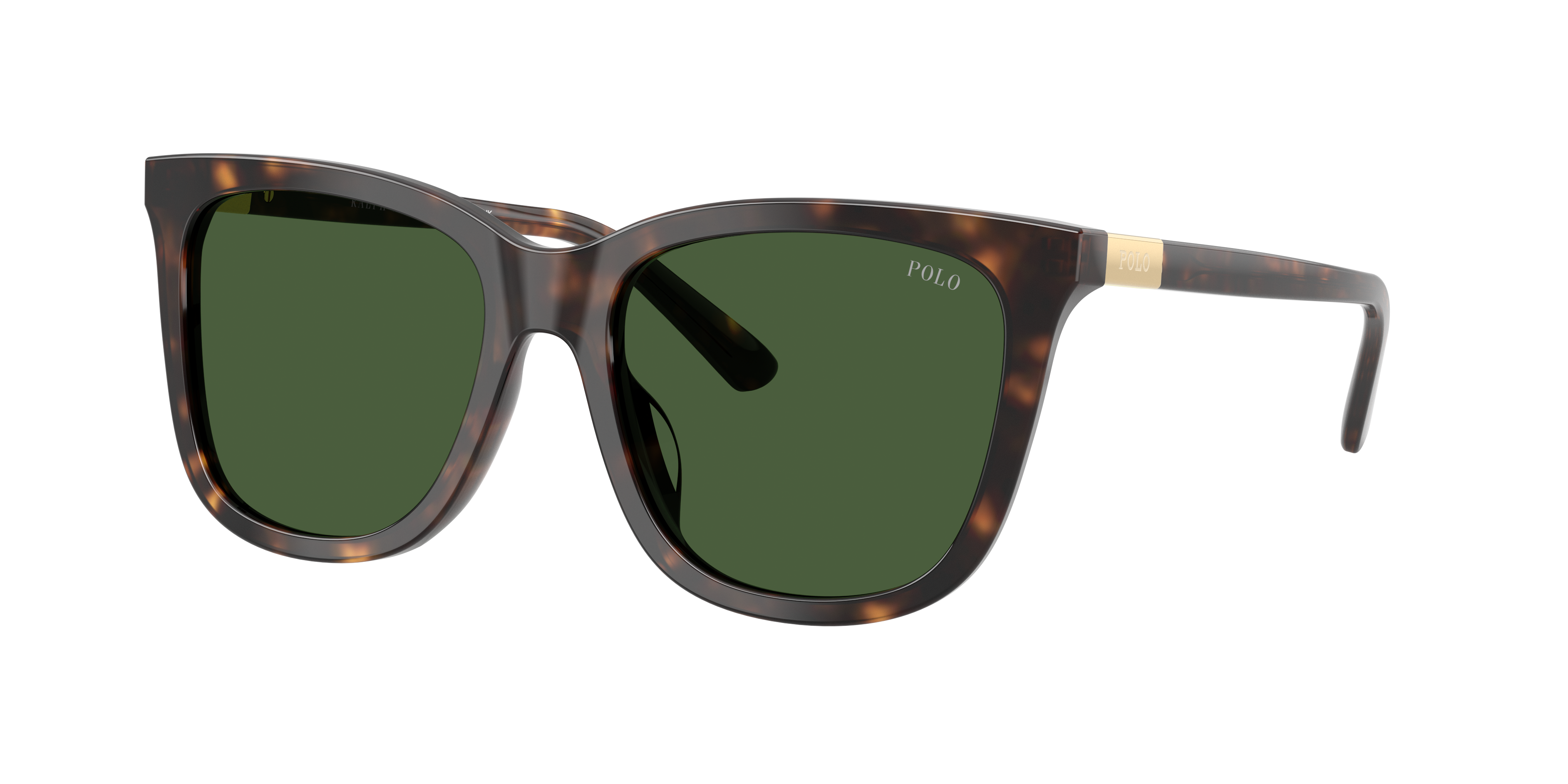 Polo by Ralph Lauren PH4201U - Shiny Dark Havana, three-quarter view #Colour_Shiny Dark Havana