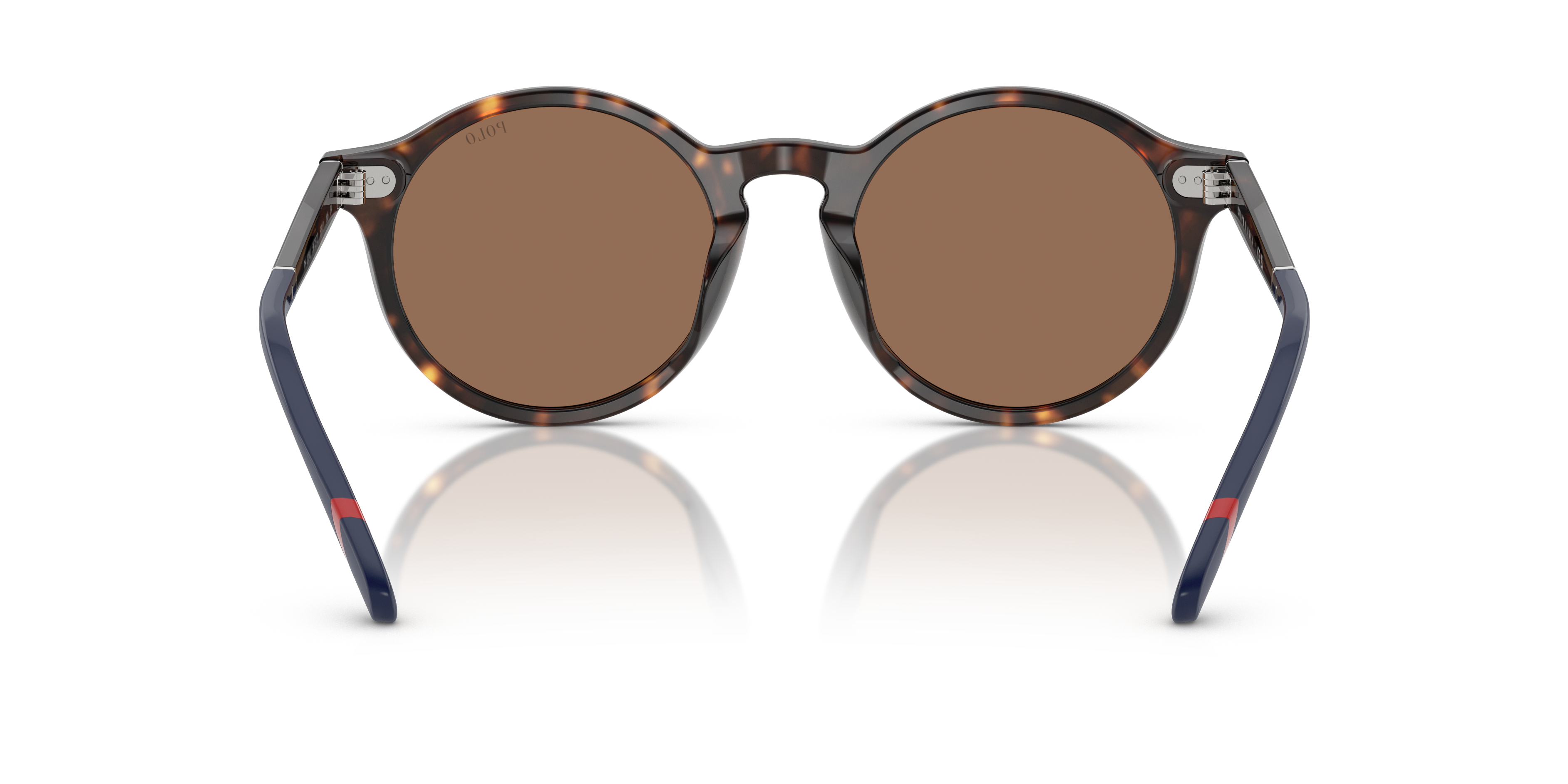 Polo by Ralph Lauren PH4204U - Shiny Dark Havana (567373), back view #Colour_Shiny Dark Havana (567373)
