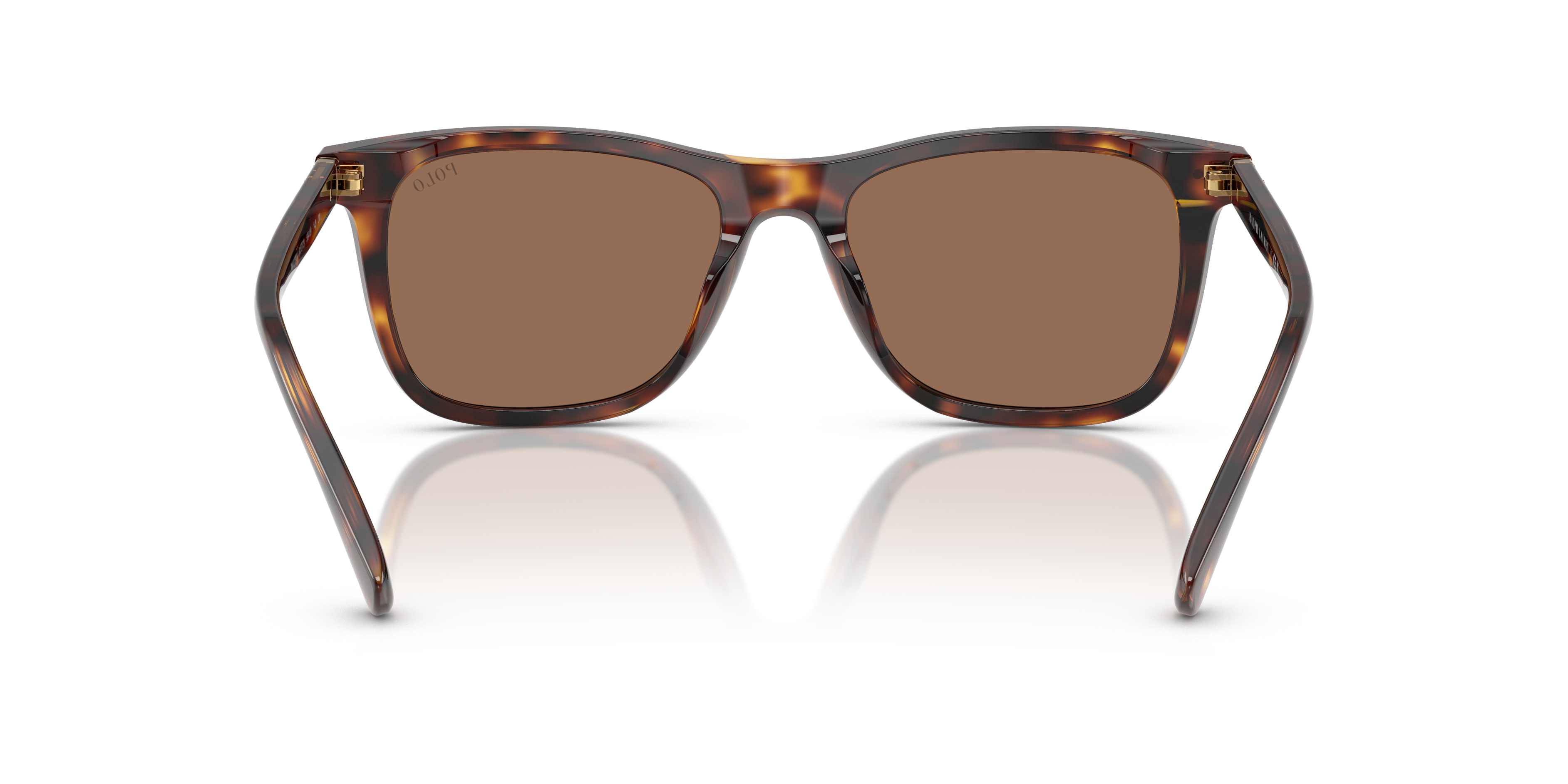 Polo by Ralph Lauren PH4220U - Shiny Brown Tortoise, back view #Colour_Shiny Brown Tortoise