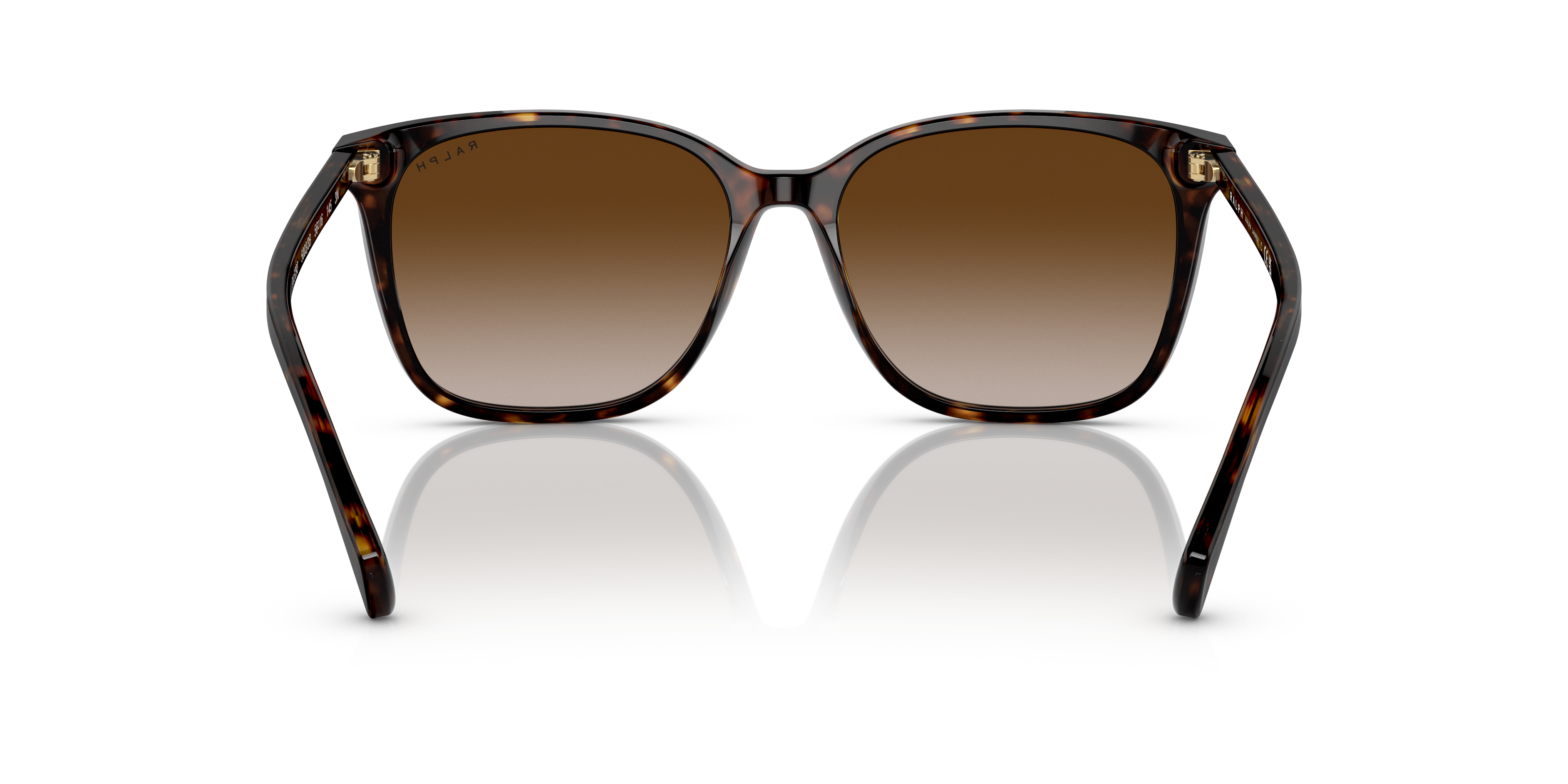 Ralph by Ralph Lauren RA5293 in Shiny Dark Havana, back view #Colour_Shiny Dark Havana