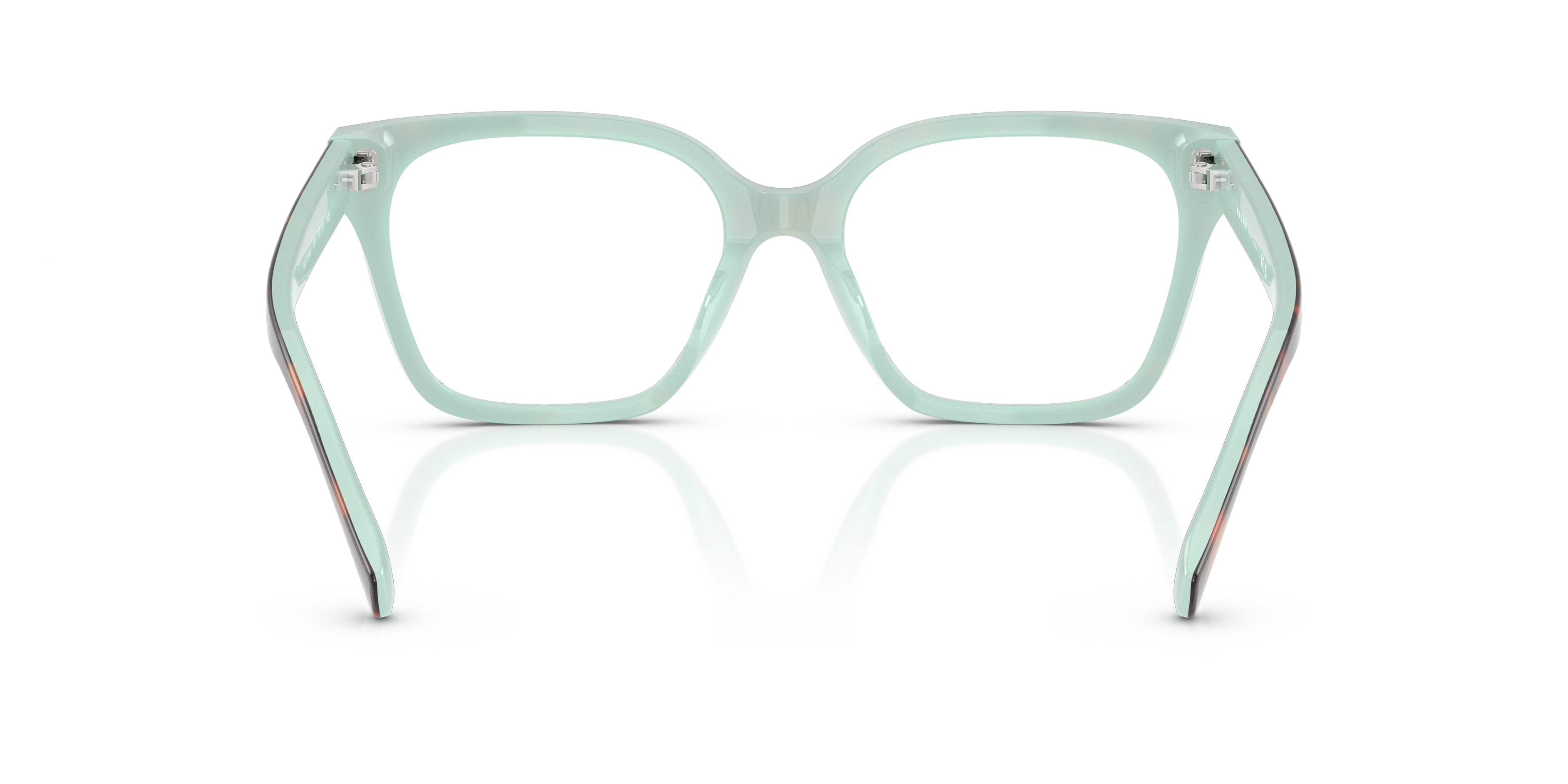 Ralph by Ralph Lauren RA7158U - Dark Tortoise/Green, back view #Colour_Dark Tortoise/Green