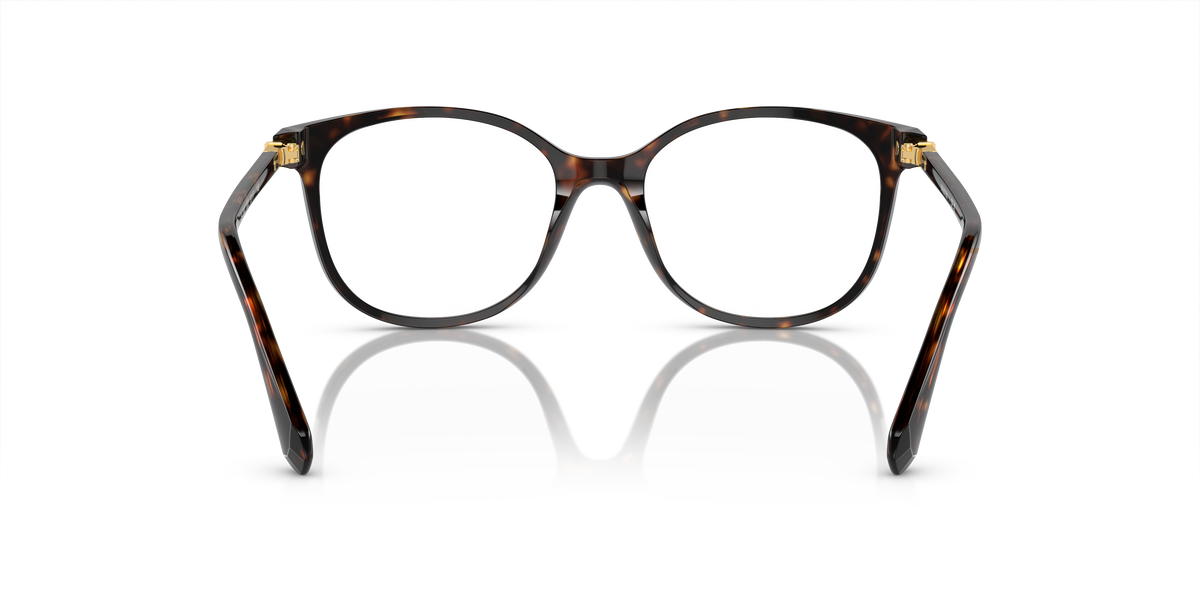 Swarovski SK2002 in Havana, back view #Colour_Havana (1002)