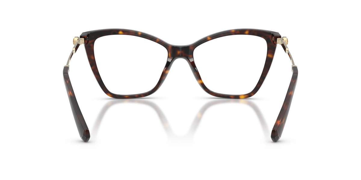 Swarovski SK2051 in Havana, back view #Colour_Havana (1002)