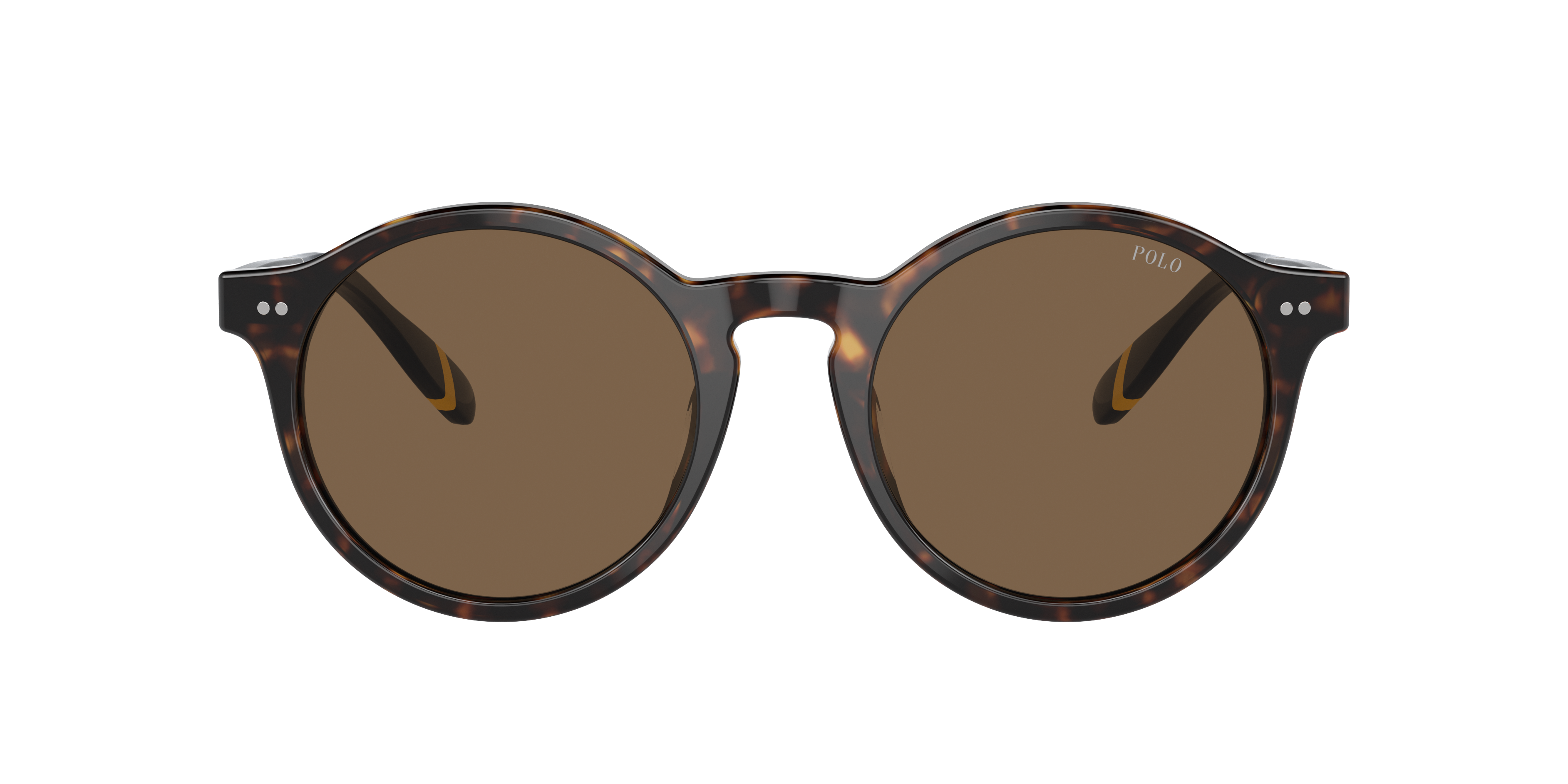 Polo by Ralph Lauren PH4204U - Shiny Dark Havana, front view #Colour_Shiny Dark Havana