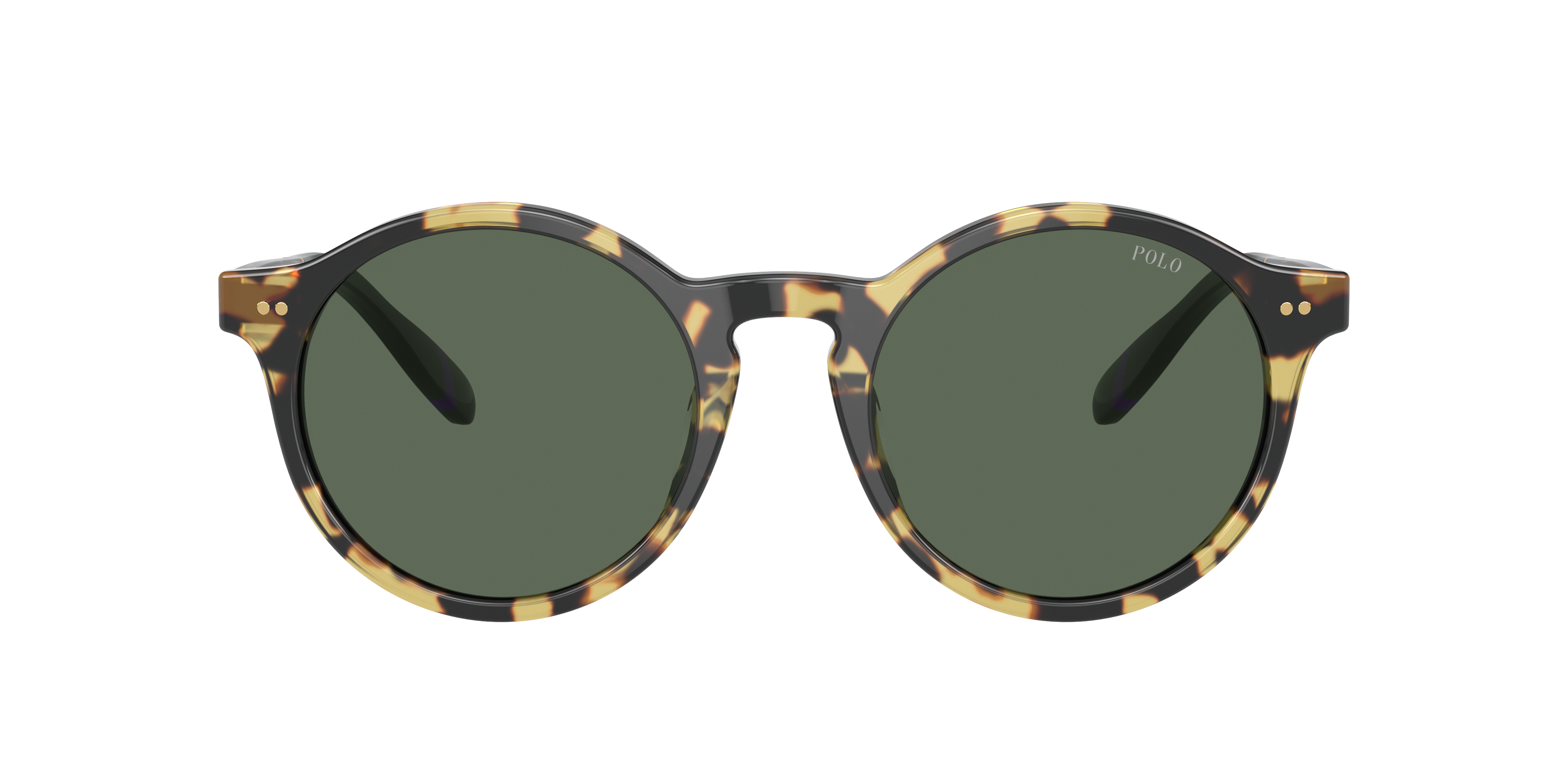 Polo by Ralph Lauren PH4204U - Shiny Tortoise Brown, front view #Colour_Shiny Tortoise Brown