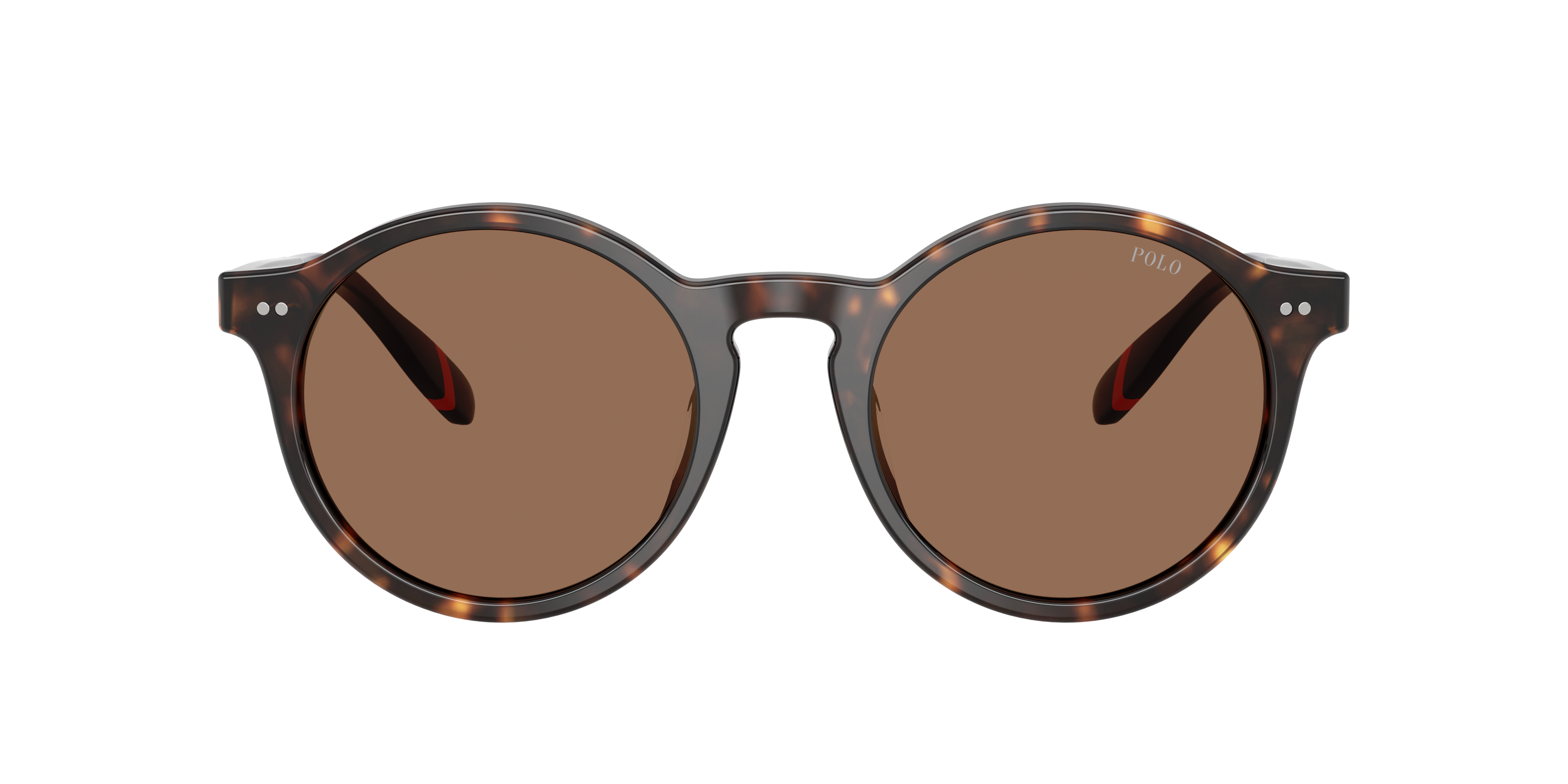 Polo by Ralph Lauren PH4204U - Shiny Dark Havana (567373), front view #Colour_Shiny Dark Havana (567373)