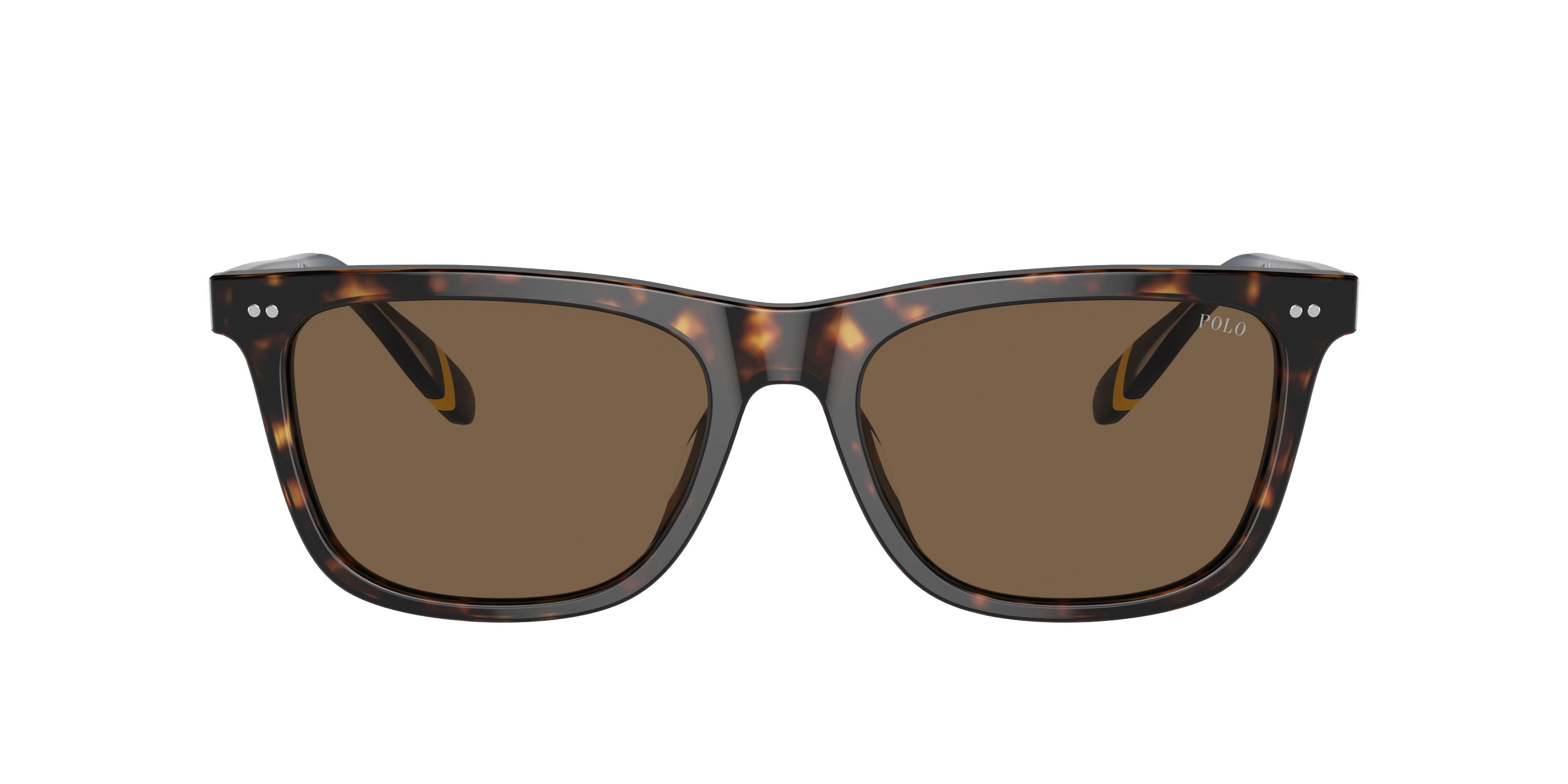 Polo by Ralph Lauren PH4205U - Shiny Dark Havana, front view #Colour_Shiny Dark Havana