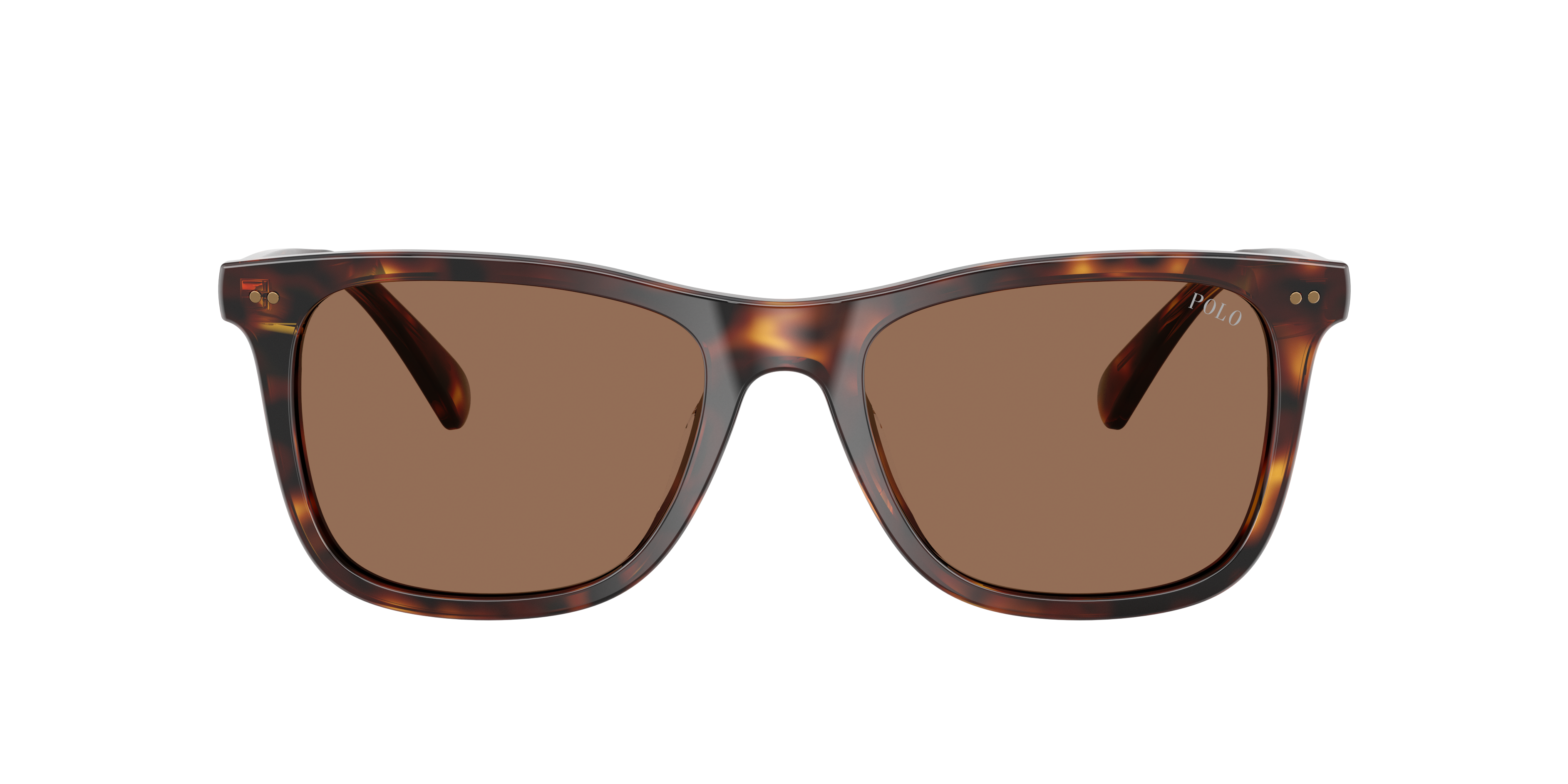 Polo by Ralph Lauren PH4220U - Shiny Brown Tortoise, front view #Colour_Shiny Brown Tortoise