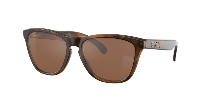Oakley Frogskins OO9013