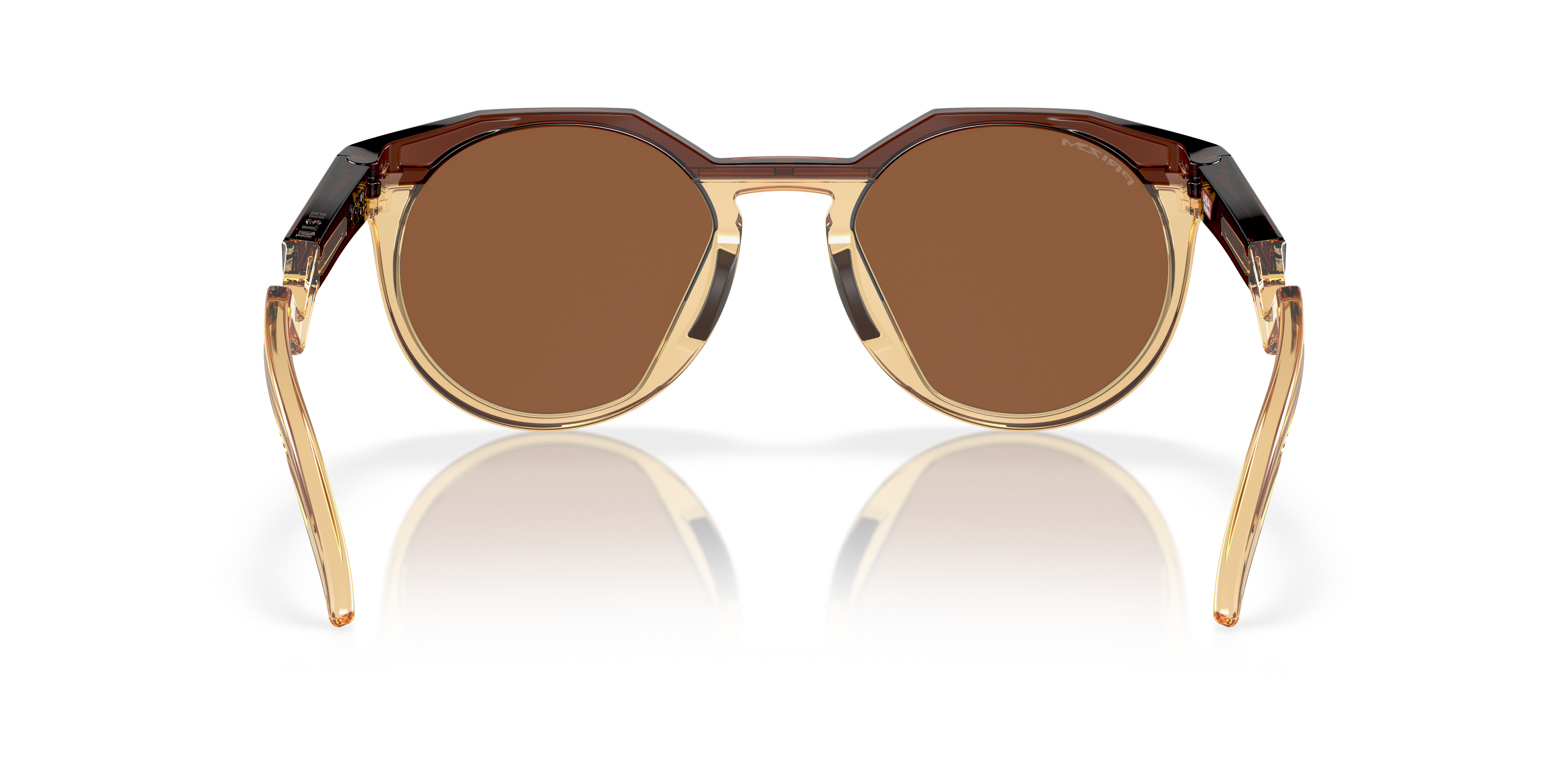 Oakley HSTN OO9242 in Dark Amber/Light Curry / Prizm Tungsten, back view #Colour_Dark Amber/Light Curry / Prizm Tungsten