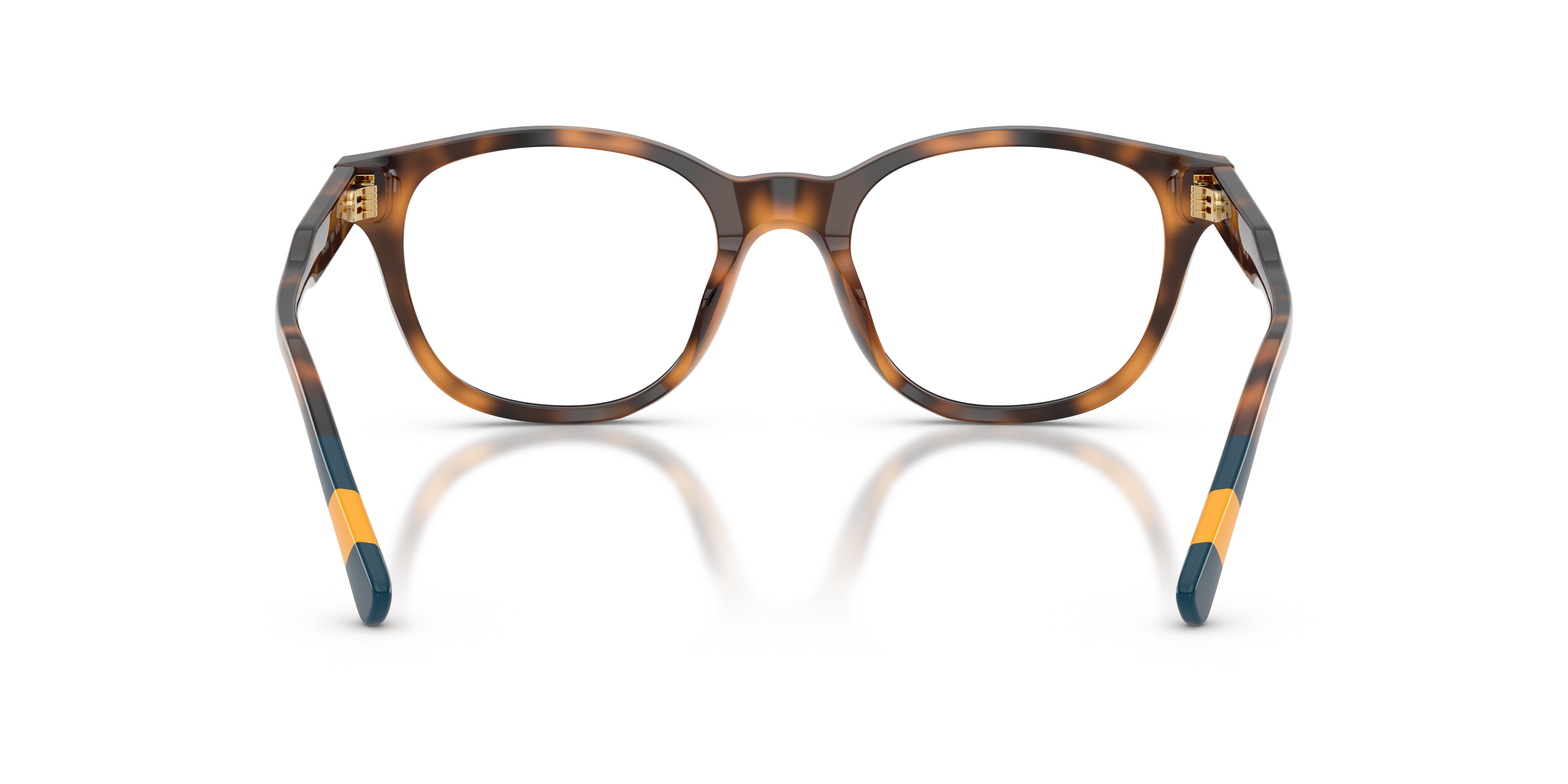Polo by Ralph Lauren PH2303U - Shiny Havana, back view #Colour_Shiny Havana
