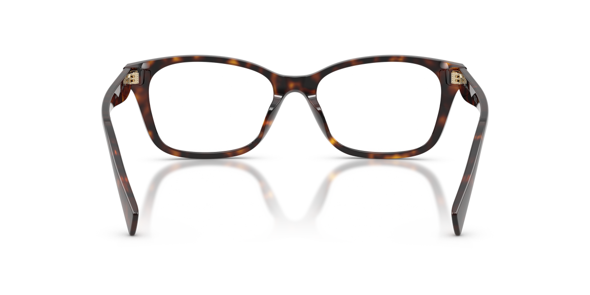 Ralph by Ralph Lauren RA7202U in Havana Brown, back view #Colour_Havana Brown (5003)