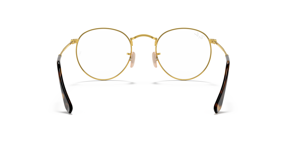 Ray-Ban RB3447V in Arista Gold, back view #Colour_Arista Gold (2500)