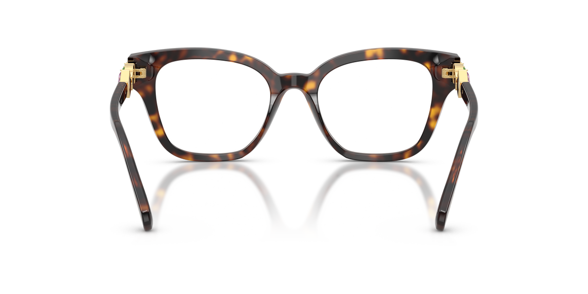 Swarovski SK2048 in Havana, back view #Colour_Havana (1002)