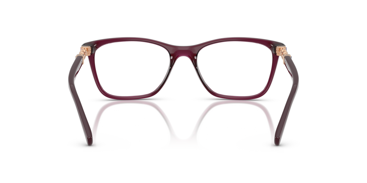 Vogue Eyewear VO5632B in Transparent Cherry, back view #Colour_Transparent Cherry (2989)