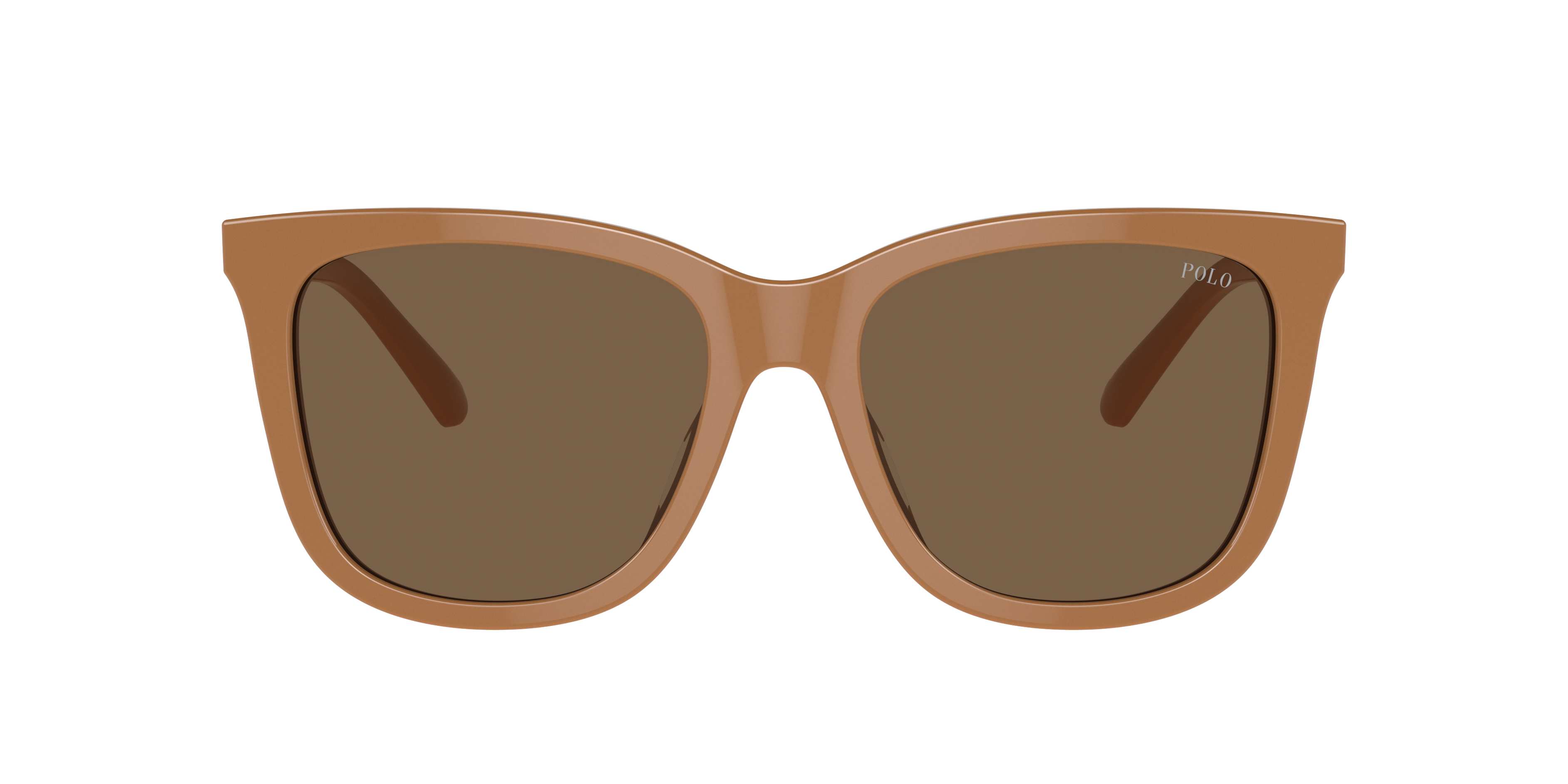 Polo by Ralph Lauren PH4201U - Shiny Brown, front view #Colour_Shiny Brown